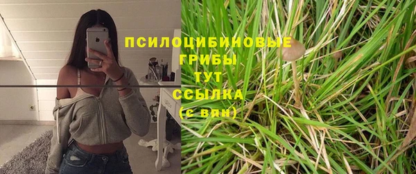 ALPHA PVP Баксан